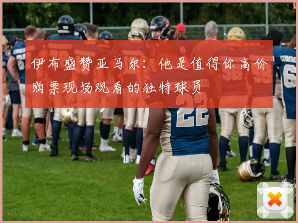 伊布盛赞亚马尔：他是值得你高价购票现场观看的独特球员